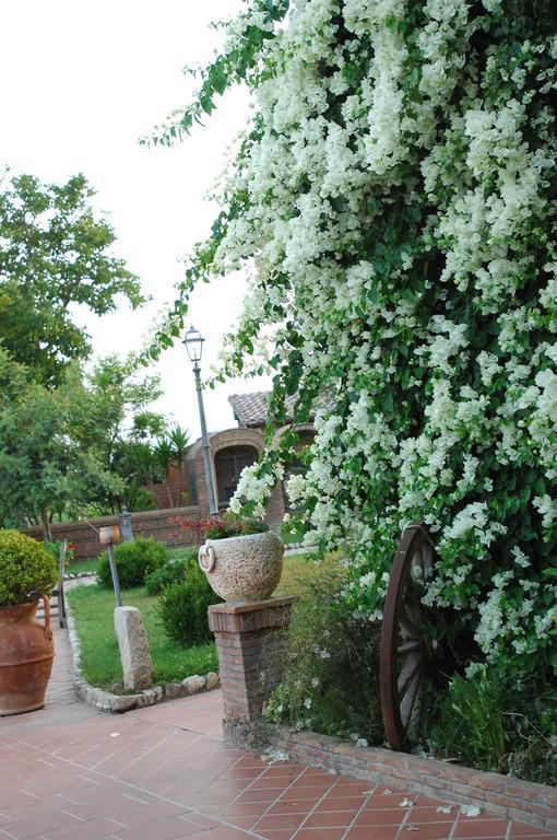 Tenuta Sciacca Villa Falciano del Massico ภายนอก รูปภาพ