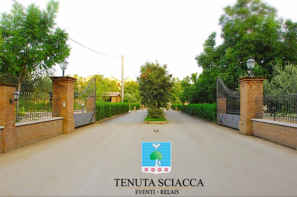 Tenuta Sciacca Villa Falciano del Massico ภายนอก รูปภาพ