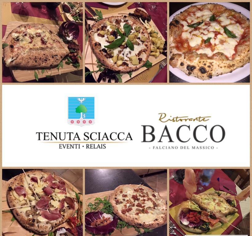 Tenuta Sciacca Villa Falciano del Massico ภายนอก รูปภาพ