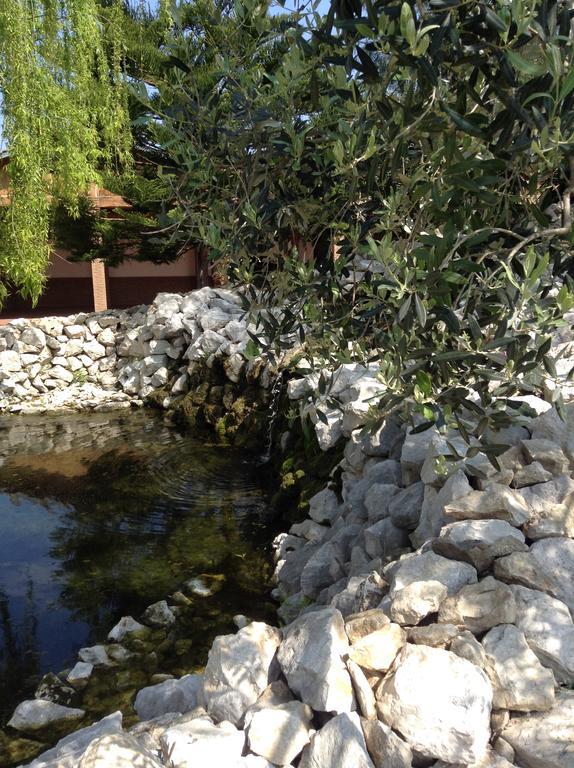 Tenuta Sciacca Villa Falciano del Massico ภายนอก รูปภาพ