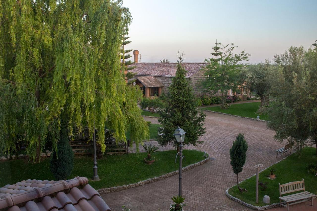 Tenuta Sciacca Villa Falciano del Massico ภายนอก รูปภาพ
